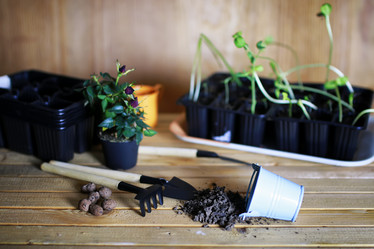 Similar image 13146300