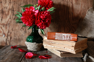 Similar image 13146338