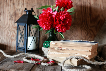 Similar image 13146359