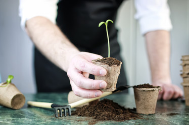 Similar image 13146378