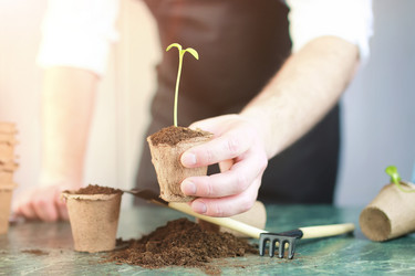 Similar image 13146379