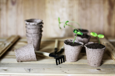 Similar image 13146397