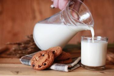 Similar image 13146057