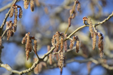 Similar image 13140331