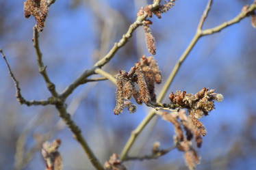 Similar image 13140332