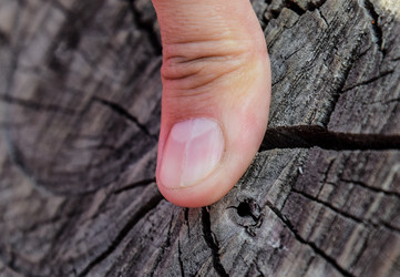 Similar image 13140333