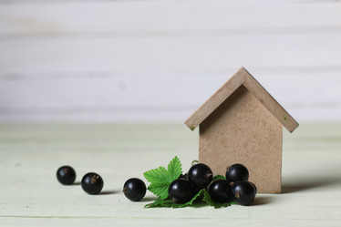 Similar image 13146461