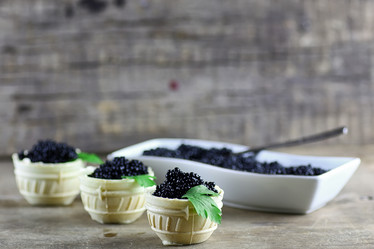 Similar image 13146601