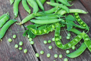 Similar image 13146360