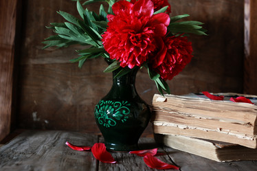 Similar image 13146317