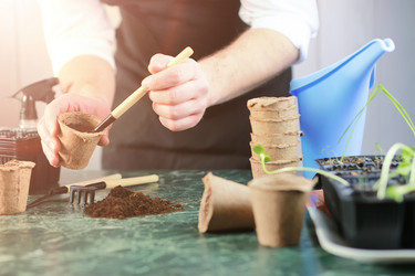 Similar image 13146319