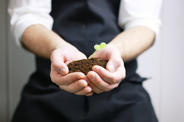 Similar image 13146340