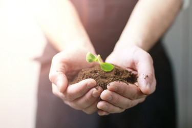 Similar image 13146341