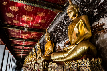 Similar image 13137423