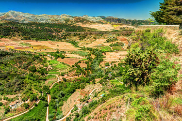 Similar image 13135371