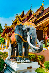 Similar image 13135655