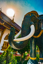 Similar image 13135700