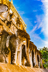 Similar image 13135768