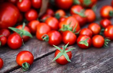 Similar image 13146561