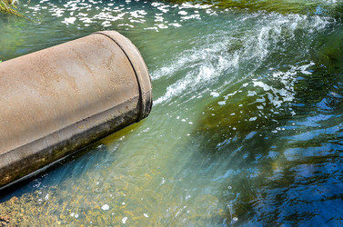 Similar image 13115434