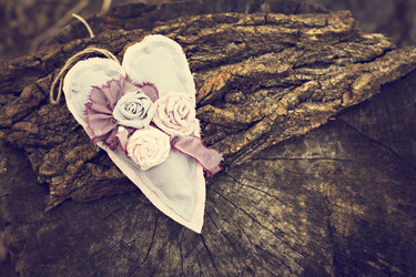 Similar image 13140604