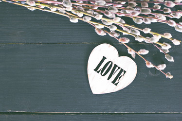 Similar image 13140697