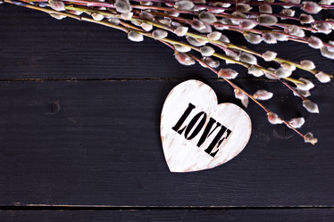 Similar image 13140698