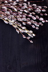 Similar image 13140716