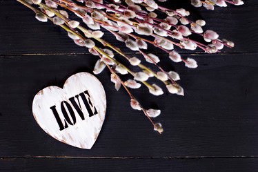 Similar image 13140717