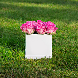 Similar image 13140724