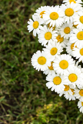 Similar image 13140976