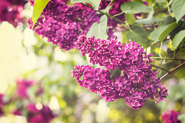 Similar image 13140627