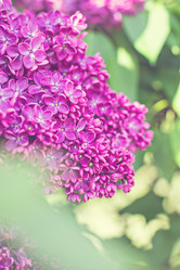 Similar image 13140646