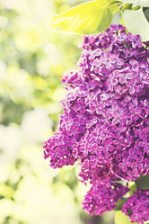 Similar image 13140647