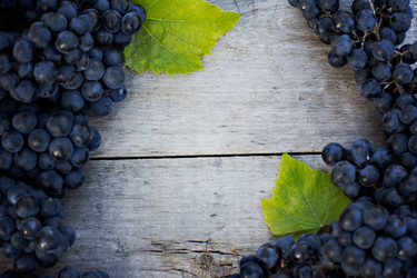 Similar image 13141224