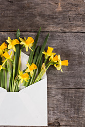 Similar image 13140219