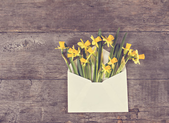 Similar image 13140236