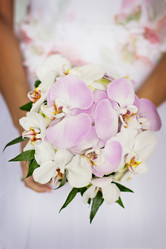 Similar image 13140800