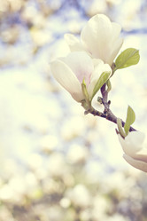 Similar image 13139936