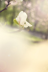 Similar image 13139937