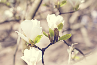 Similar image 13139938