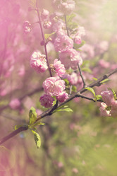 Similar image 13139939