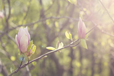 Similar image 13139951