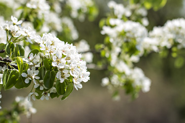 Similar image 13139952