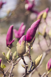 Similar image 13139954