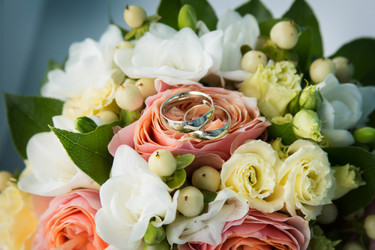 Similar image 13138140