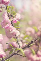 Similar image 13138141