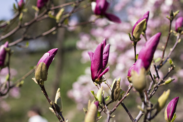 Similar image 13140111