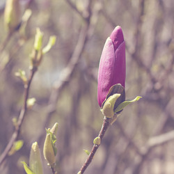 Similar image 13140113