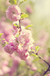 Similar image 13140114